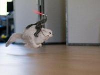 Dark Vador en Chatval