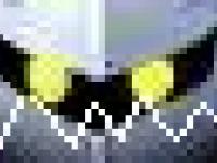 WWW.