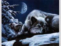 Loup