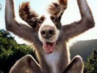 J'arriiiiive!!!