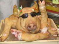 Tête de porc