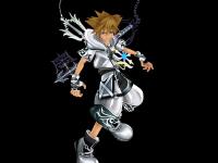 Sora-master