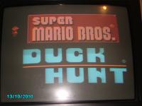 mario duck hunt /MARIO