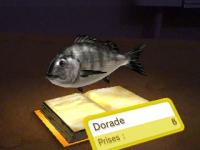 livre de pêche13