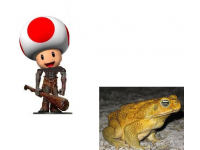 Trolololotoad