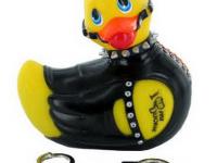 canard sm