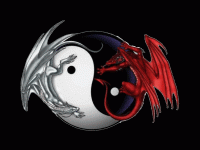 dragon ying et yang