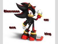 Bienvenue sur mon blog