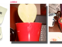 plante copy
