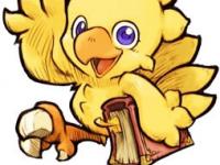 Chocobo 6