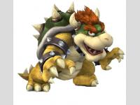 bowser