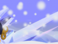 noel sur NM