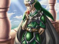 Link chevalier du ciel