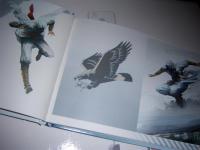 art book 4