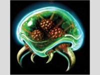 Un metroid
