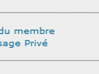 bug-activité-nm