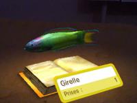 livre de pêche18