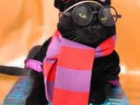 charry potter