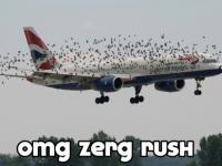 Zerg rush