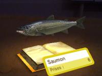 Livre de pêche4