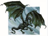Dragon noir