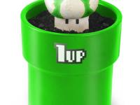 champi 1 life up