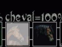 100%cheval