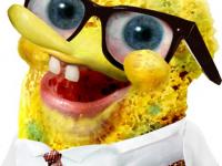 Bob