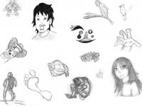 Feuille 3