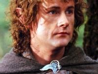 Pippin