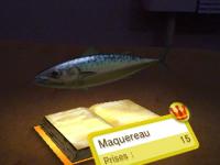 livre de pêche6