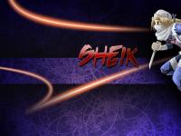 Sheik Ninja