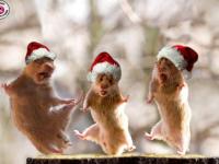 Pères Noëls