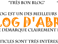 Bannière du blog : vous aimez le blog ? 