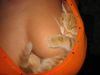 Firefox