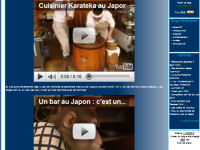 Article collector (par blue_cow)