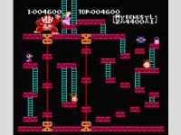 DK nes