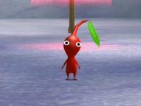 pikmin rouge