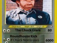 Chuck Norris dieu des pokemons