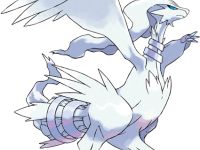 Reshiram