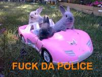 Fuck da police