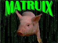 Matruix