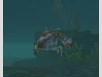 Crabe