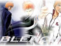 wal_bleach