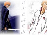 BLEACH124