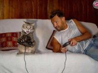 Cat-Gamer