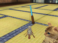 catss