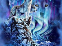 Les loups