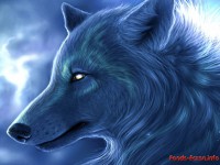 Les loups