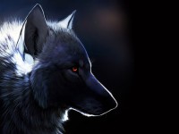 Les loups